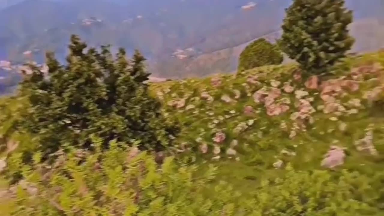Romantic scene
