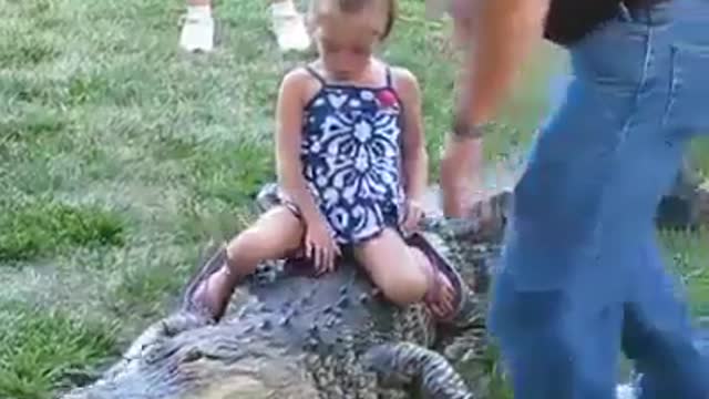 A little girl from Florida riding a crocodile watched what happened