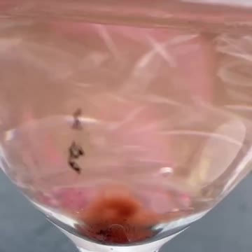 Dangerous graphene oxide has been found in health food also