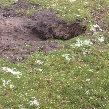 Taking a look at a rabbit 🐇 hole 🕳