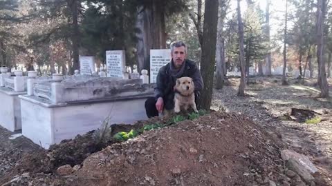 The Moment This Dog Says Goodbye to His Owner is Exciting