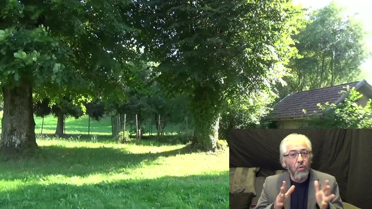 Les armes bio-nano-électromagnétiques. Comment combattre l'IA noire.