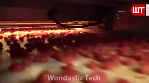 How Tomato Ketchup Is Made | Tomato Harvesting And Processing to Ketchup | Food Factory