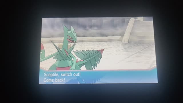 Pokemon Alpha Sapphire:Facing A Steeling Defense