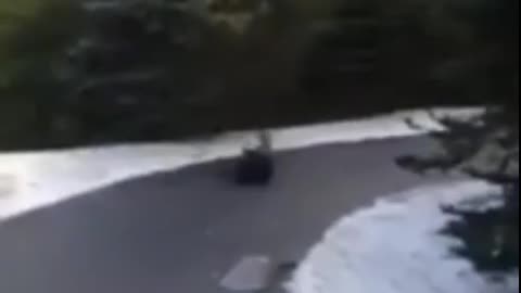 Funny Fails 😂🔥 - #funny #funnyfails #funnyvideo #humor #humour #humormemes #memes #fails