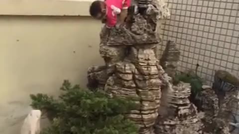Monkey world