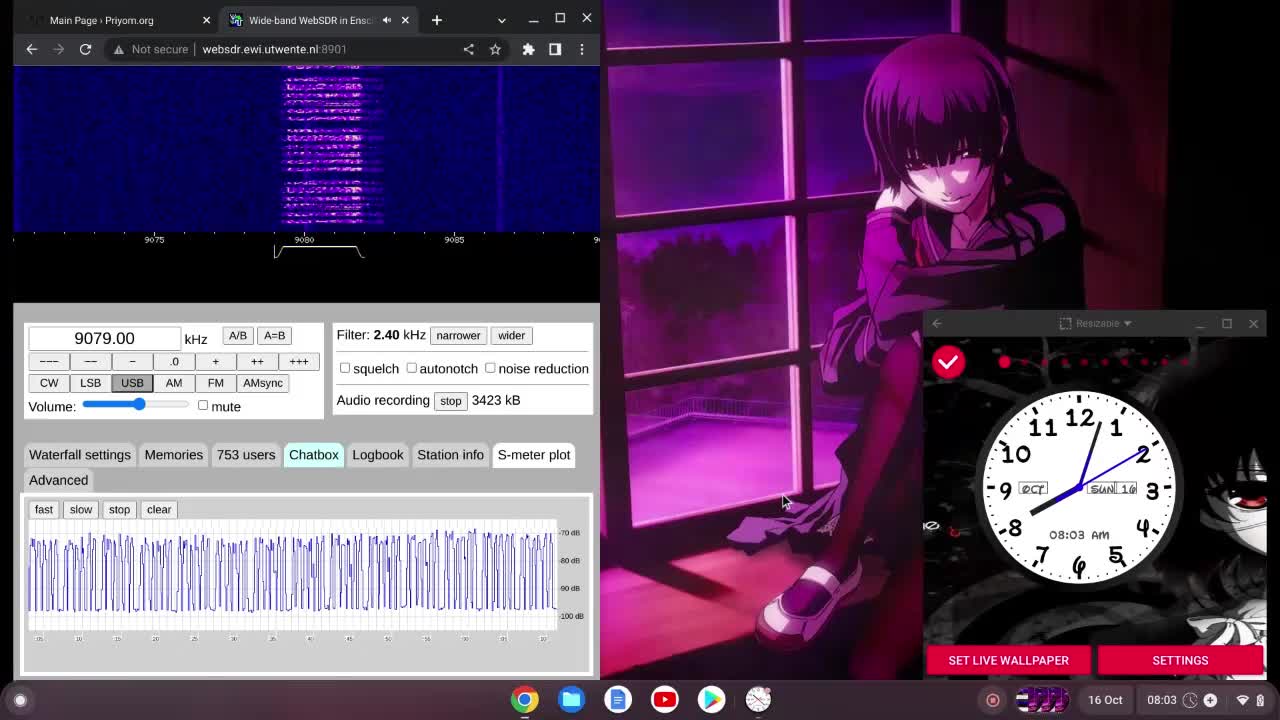 E11 Oblique 16/10/2022 0700 UTC 9079kHz