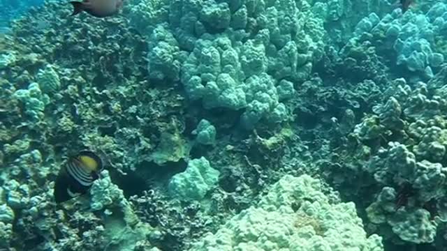 underwater#planetearth