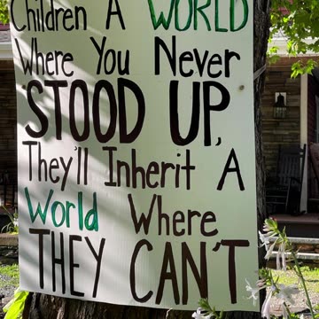 We The People Declare Freedom on Pizzagate