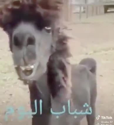 شباب اليوم ههههه 😂 🤣 😜