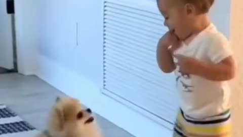 Funny dog