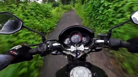 Traveling through the wild