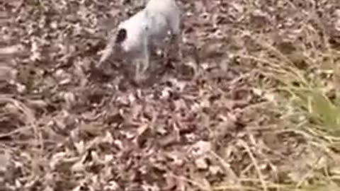 WAIT FOR IT!!!!