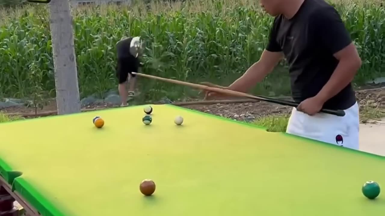 Pro!