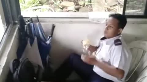 Funny Animals