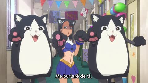 Torocats