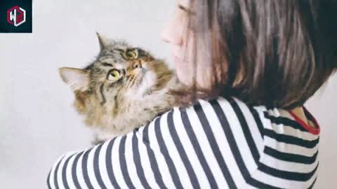 What Really Means When Your Cat Curls Up With You For Cuddles