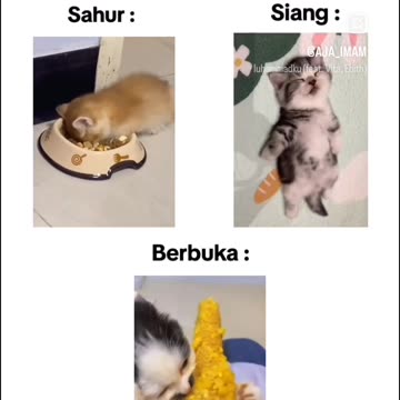 Activities during Ramadan