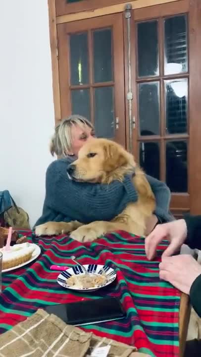 doggo vibing to happy birthday!