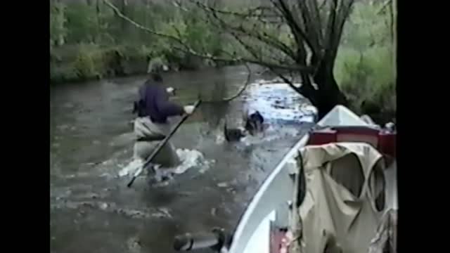 Funny Animals compilaton