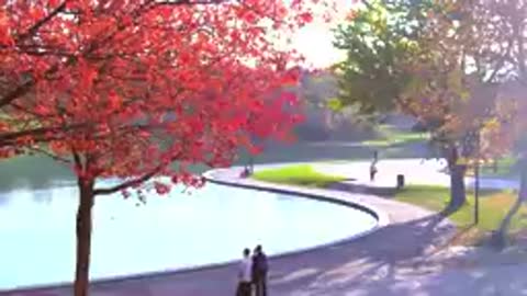 Canada in 8K ULTRA HD HDR - 2nd Largest country in the world (60 FPS)