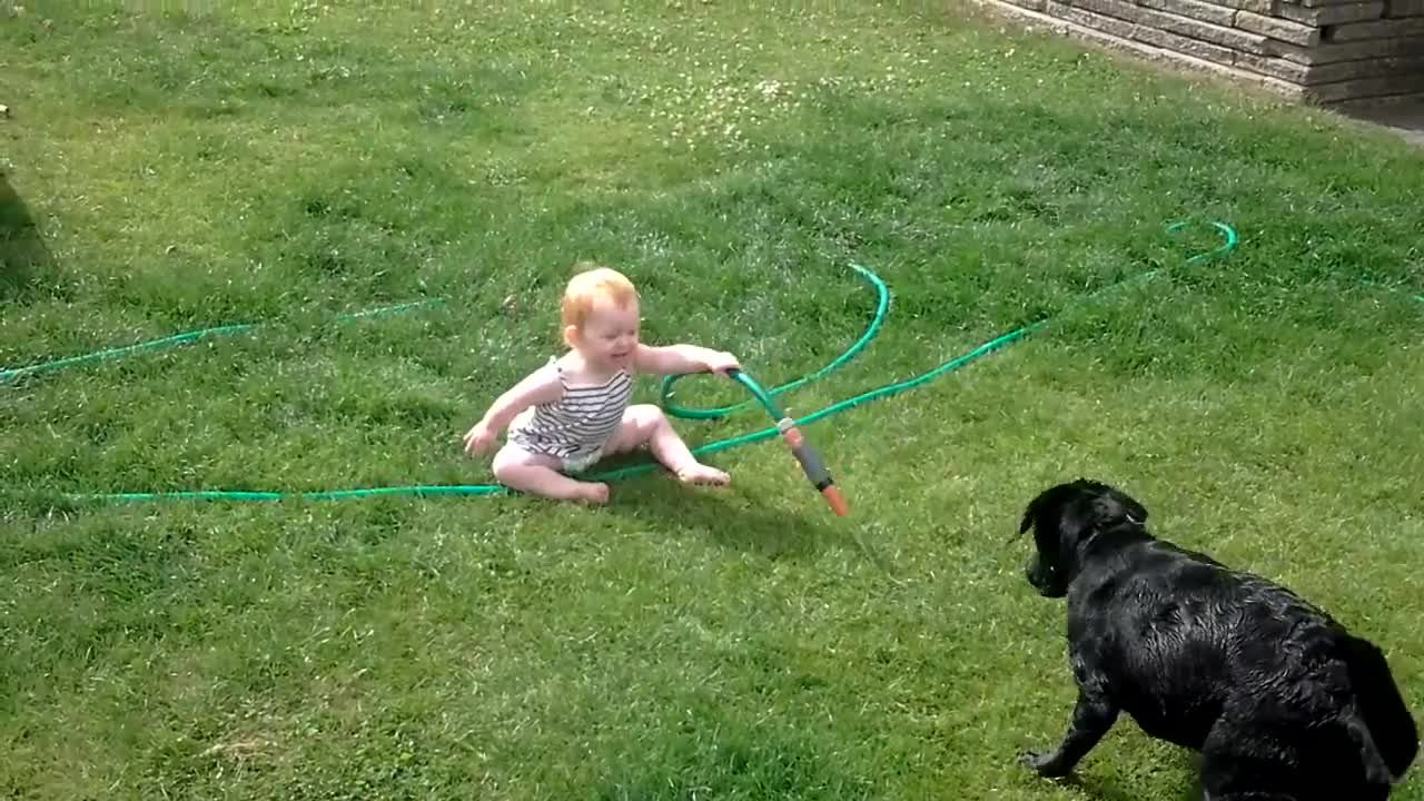 Laughing baby playing with dog and water