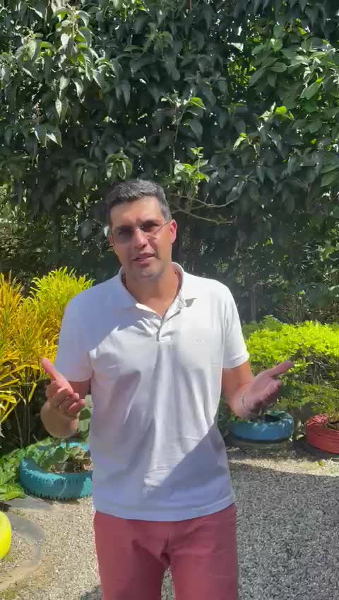 Comercio diciembre Bucaramanga