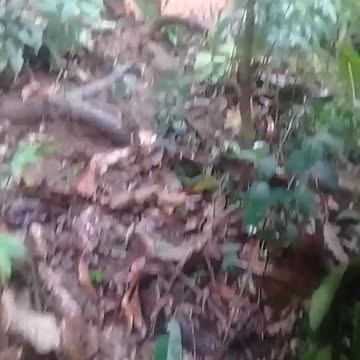 Imágenes de la tragedia por inundaciones y deslizamientos en Barrancabermeja