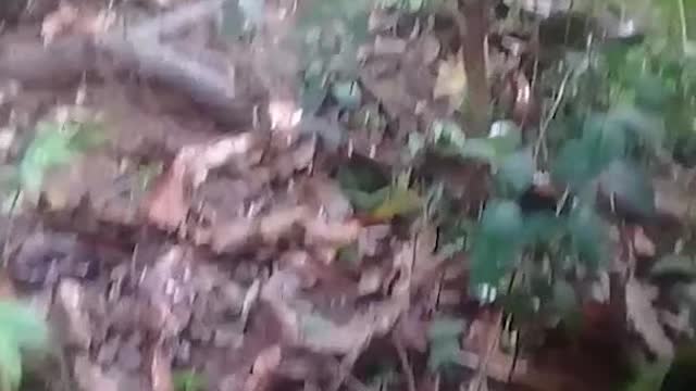 Imágenes de la tragedia por inundaciones y deslizamientos en Barrancabermeja