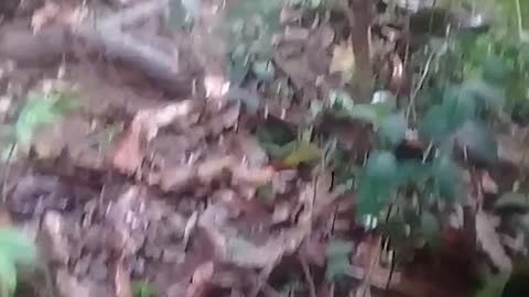 Imágenes de la tragedia por inundaciones y deslizamientos en Barrancabermeja