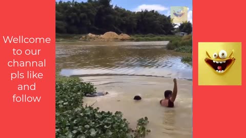 Best Funny Videos 2