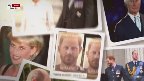 SPECIAL REPORT_ Prince Harry Meghan Markle_s war against the Royal Family