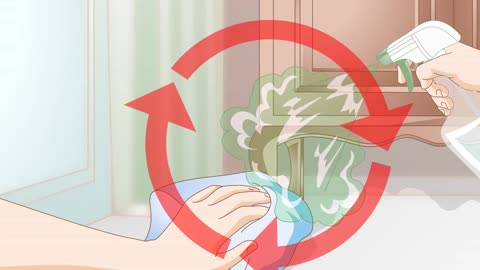 How to successfully get rid of cat spray odor