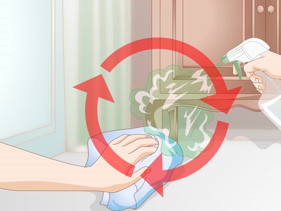 How to successfully get rid of cat spray odor