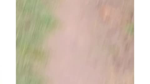 Londa walking