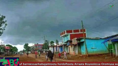 Oduu Waaree ONM-ABO Muddee 18-2024 itti dhiyaadhaa!