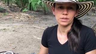 Sombrero Vueltiao