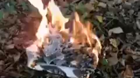 Burning 80 Trump Ballots