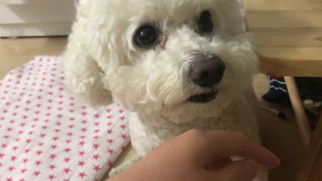 Delicious sister's hand