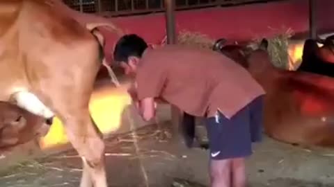 bebendo agua de verdade
