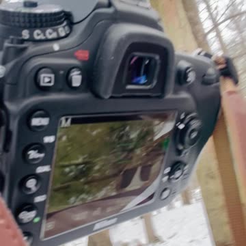 Out photographing…