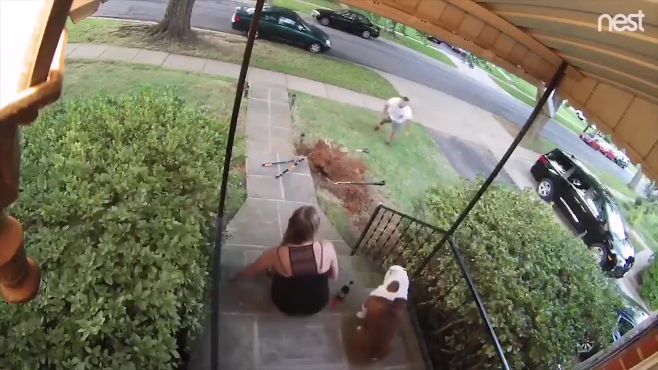 Best Fails Compilation - Try Not Laugh