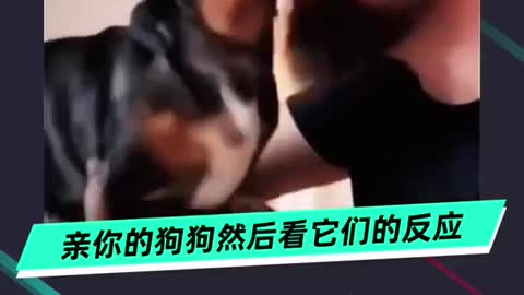 Strange pet