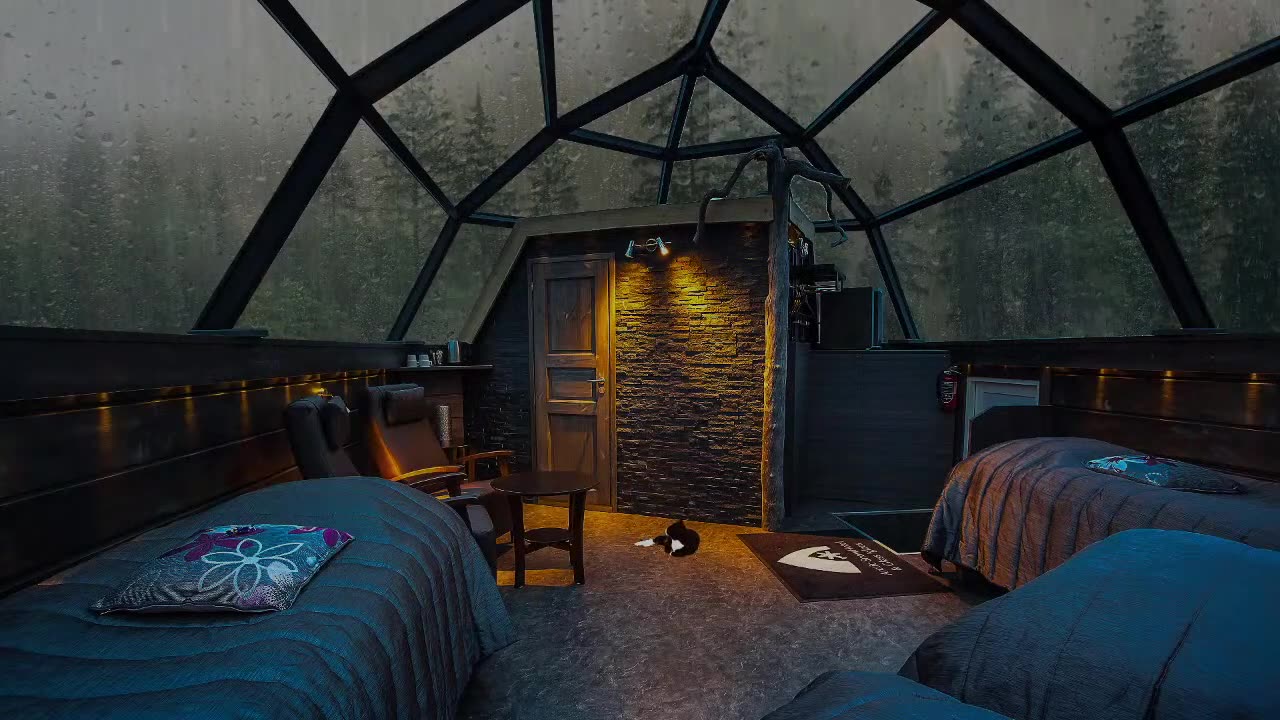 Rain Sounds For Sleeping - 99% Instantly Fall Asleep With Rain