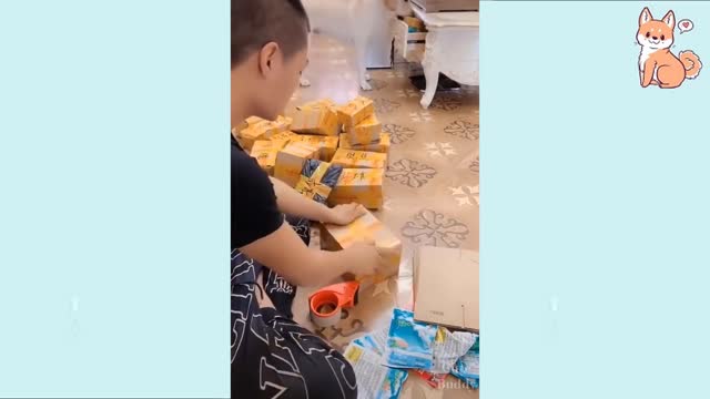 Laugh at all the DOGS 🤣 Funny DOG Videos 😂🐶 Babies and Dogs Funny