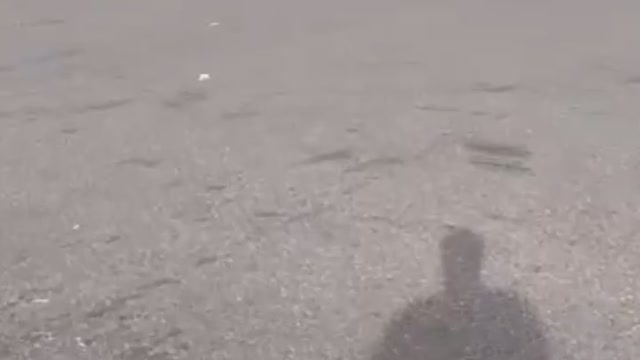 The Cranes aren’t Moving! Be prepared folks!