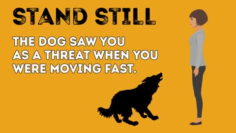 How to Survive a Dog Attack with simple tricks