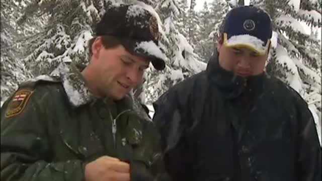 Stuck in the Forest | Wild: Polar Bear Diary | BBC Earth