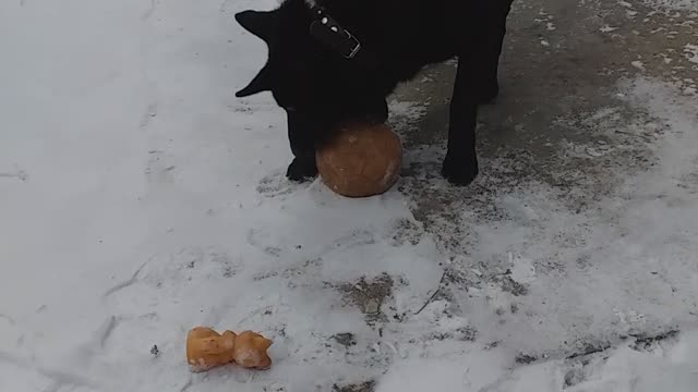 Let's play a ball!