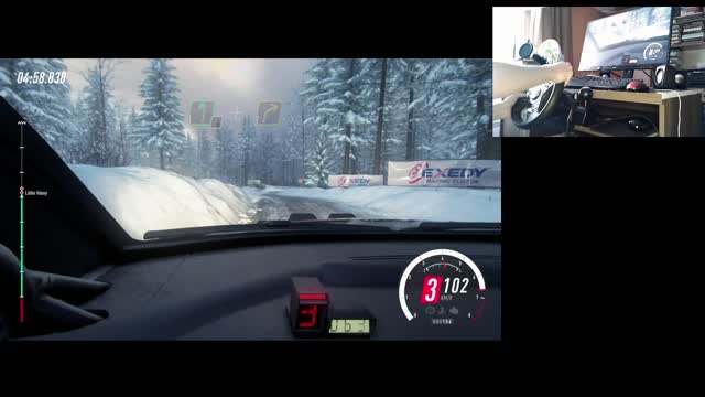 Dirt Rally 2.0 - Citroen C4 WRC - Sweden - SS 5